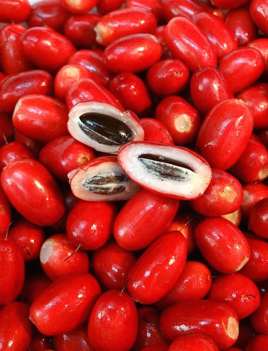 Le petit fruit rouge qui trompe nos papilles depuis des siècles
